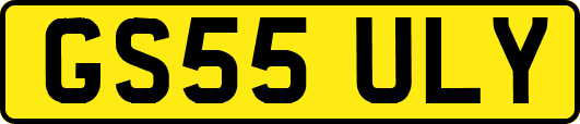 GS55ULY