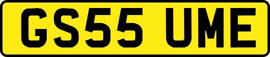 GS55UME