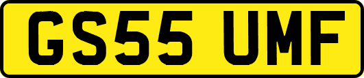 GS55UMF