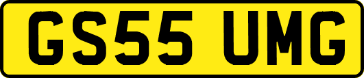 GS55UMG