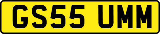 GS55UMM