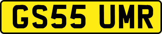 GS55UMR
