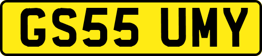GS55UMY