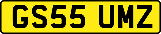 GS55UMZ