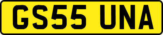 GS55UNA