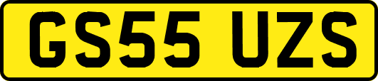 GS55UZS