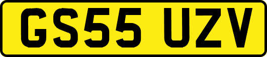 GS55UZV