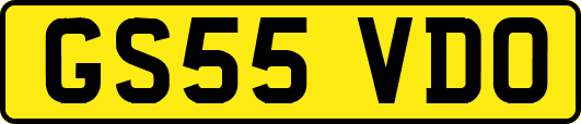 GS55VDO