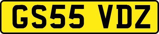 GS55VDZ