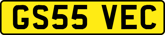 GS55VEC