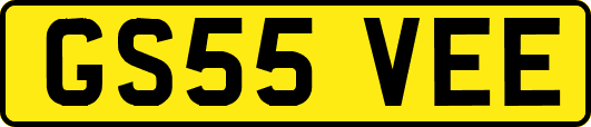 GS55VEE