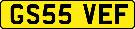 GS55VEF