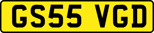 GS55VGD