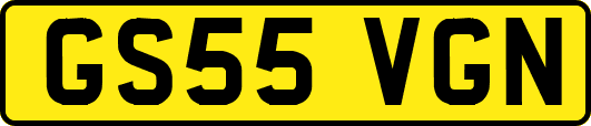 GS55VGN