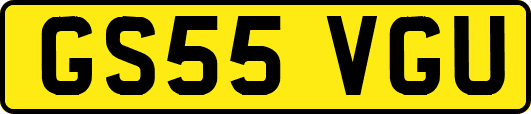 GS55VGU