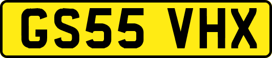 GS55VHX