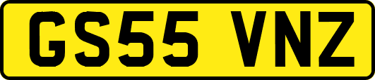 GS55VNZ
