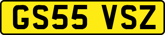GS55VSZ
