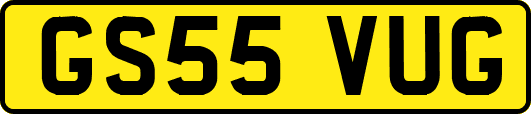 GS55VUG