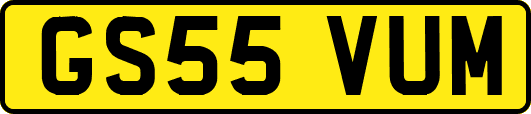GS55VUM