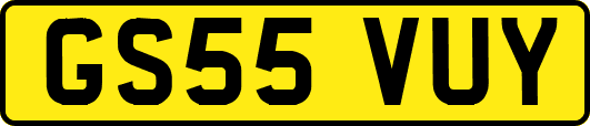 GS55VUY