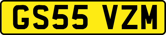 GS55VZM