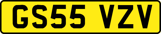 GS55VZV