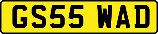 GS55WAD