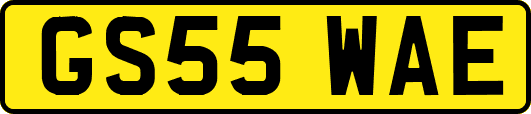 GS55WAE