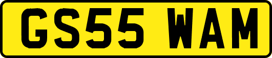 GS55WAM