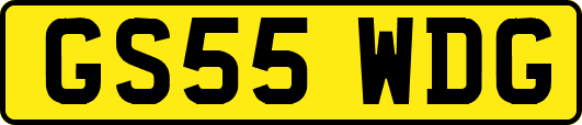 GS55WDG