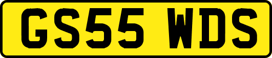 GS55WDS