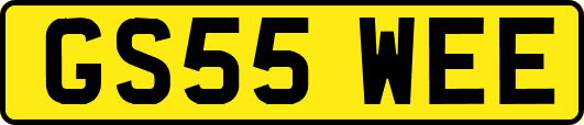 GS55WEE