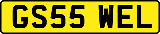 GS55WEL