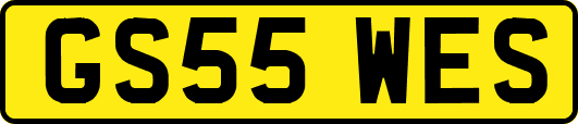 GS55WES