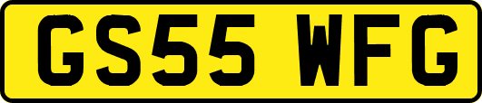 GS55WFG