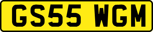 GS55WGM