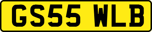 GS55WLB