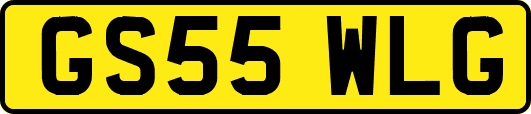 GS55WLG