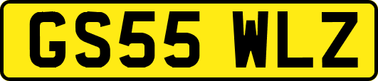 GS55WLZ