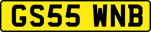 GS55WNB