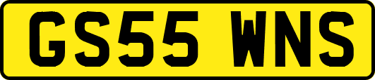 GS55WNS