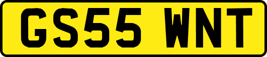 GS55WNT