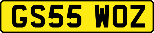 GS55WOZ