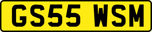 GS55WSM