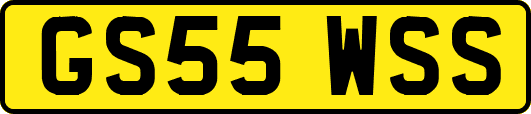GS55WSS