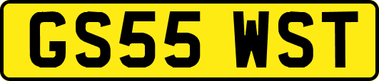 GS55WST