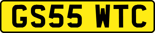 GS55WTC