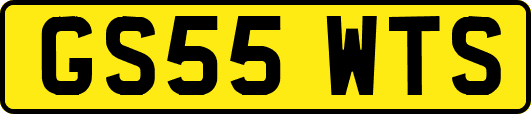 GS55WTS
