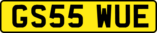 GS55WUE